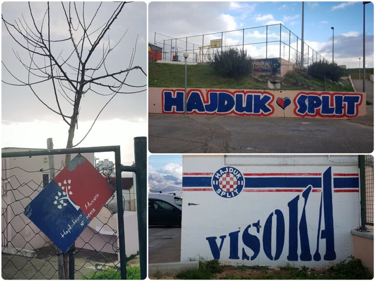 Sadnica Stare murve Hajduka